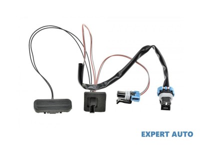 Buton deschidere portbagaj Opel Meriva B (2010-&amp;gt;)[S10] #1 foto