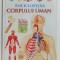 ENCICLOPEDIA CORPULUI UMAN , 2022