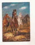 FA100 -Carte Postala- GERMANIA - Hans Friedmann, Galoppierende Pferde, necirculata