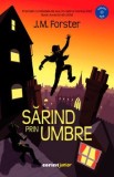 Cumpara ieftin Sarind prin umbre/J.M. Forster, Corint Junior
