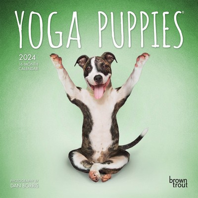 Yoga Puppies 2024 Mini 7x7 foto