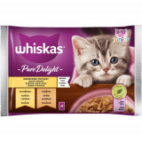 Cumpara ieftin Hrana Umeda pentru Pisici, Junior, cu Carne de Pasare, 4 x 85 g, Whiskas