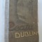Ceata la Dublin (interbelic) - Liam O'Flaherty