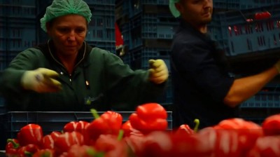 depozite fructe germania foto