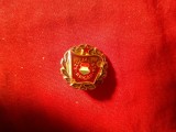 Insigna Ungaria anii &#039;50 - Brigada Socialista , metal si email , d=1,5cm
