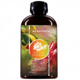 Cumpara ieftin Odorizant Camera Ulei Esential ScentEvo Ginger Flower, 250 ml