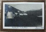 Pastorita in defileu, iunie 1926// fotografie