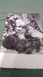 Cumpara ieftin CARTE POSTALA FELICITARE CIRCULATA