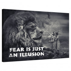 Tablou Canvas, Tablofy, Fear Is Just An Illusion, Printat Digital, 70 &amp;times; 50 cm foto