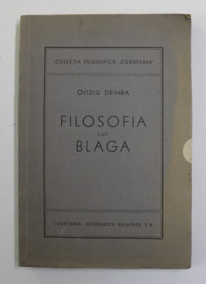 FILOSOFIA LUI BLAGA de OVIDIU DRIMBA foto