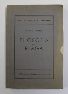 FILOSOFIA LUI BLAGA de OVIDIU DRIMBA foto