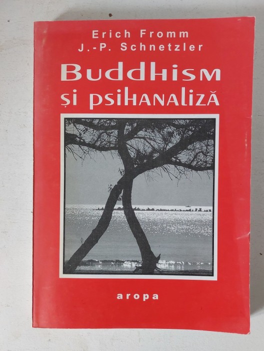 Buddhism si psihanaliza &ndash; Erich Fromm, J. -P. Schnetzler