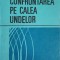 CONFRUNTAREA PE CALEA UNDELOR-STELIAN CONSTANTIN, TUDOR NICULESCU-239408