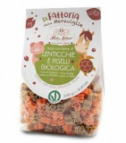 Paste cu faina de linte rosie si mazare verde fara gluten pentru copii, eco, Pasta Natura