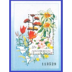 Ungaria 1991 - flori America, colita neuzata