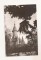 RF168 - Carte Postala - Timisoara. Catedrala, circulata - 1