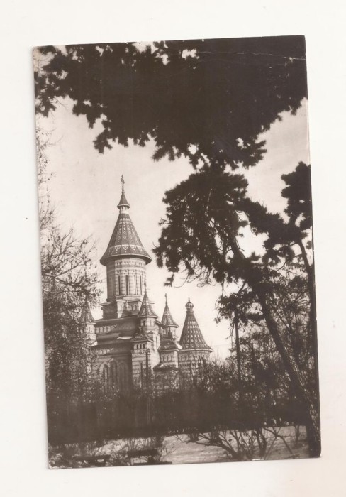 RF168 - Carte Postala - Timisoara. Catedrala, circulata