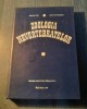 Zoologia Nevertebratelor - Valeria Fira, 1977, Editura Didactica si Pedagogica, 405 pagini