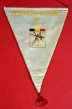 Fanion Sportiv (perioada comunista) - FEDERATIA de LUPTE din ROMANIA (dimensiuni mari 46x31 cm)