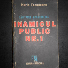 Horia Tecuceanu - Capitanul Apostolescu si inamicul public Nr. 1