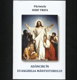 Cumpara ieftin Ad&acirc;nciri &icirc;n Evanghelia M&acirc;ntuitorului - Părintele Iosif Trifa - Carte Creștinism, Evanghelii