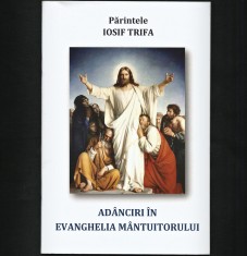 AD&amp;Acirc;NCIRI &amp;Icirc;N EVANGHELIA M&amp;Acirc;NTUITORULUI - PĂRINTELE IOSIF TRIFA foto
