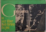 Gimnastica in aer liber sub forma de joc. Culegere de exercitii fizice in imagini