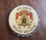 D3 - Magnet frigider - Tematica turism - Belgia 15