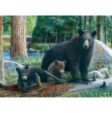 Cumpara ieftin Puzzle Eurographics - New Discoveries, 1000 piese