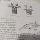 Amfibieni din Romania - Dan Cogalniceanu, 2000, Stare Buna - Carte Biologie