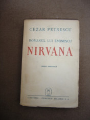 ROMANUL LUI EMINESCU NIRVANA - CEZAR PETRESCU foto