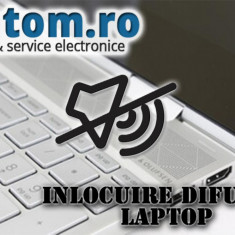 Service Laptop : Inlocuire Difuzoare Laptop