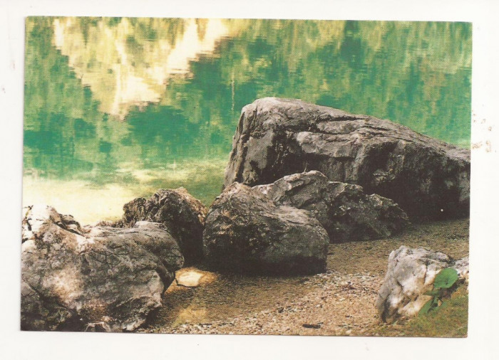 FA26-Carte Postala- GERMANIA - Natura, necirculata