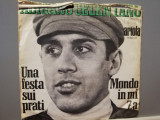 Adriano Celentano - Una Festa sui Prati (1969/Ariola/RFG) - VINIL/Vinyl/NM, Pop