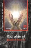 Esoterica Vol.23: Sfintii printre noi - Dan-Silviu Boerescu