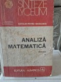 Analiza Matematica. Aplicatii vol.I - Catalin Petru Nicolescu