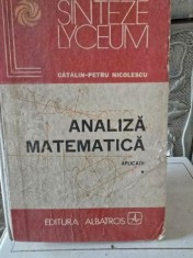 Analiza Matematica. Aplicatii vol.I - Catalin Petru Nicolescu