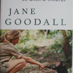 In umbra omului – Jane Goodall