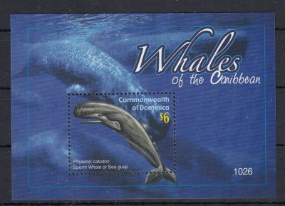 Dominica - Fauna Marina - BALENE din CARAIBE - MNH foto