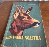 DIN FAUNA NOASTRA - IONEL POP