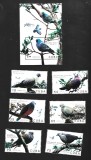 cuba pasari mnh