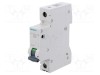 &Icirc;ntrerupător de supracurent Siemens MCB 6A 230/400V 1 poli IP20