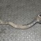 Braț curbat dreapta față LAND ROVER RANGE ROVER IV L405 2016 11704179