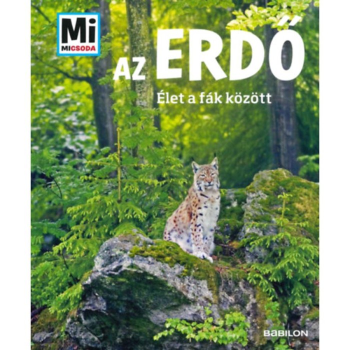 Az erdő - &Eacute;let a f&aacute;k k&ouml;z&ouml;tt - Anette Hackbarth