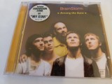 Among teh suns - Brains storm, cd