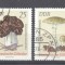 Germany DDR 1974 Mushrooms, used G.325