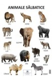 Cumpara ieftin Plansa educativa animale salbatice pentru copii, ilustratii color, educatie, invatare