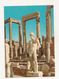 FA29-Carte Postala- LIBIA - Leptis Magna, necirculata, Fotografie