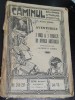 Aventurile a 3 Rusi si 3 Englezi Africa Australa - Jules Verne, Editie Interbelica, Cultura Romaneasca, Colectia Caminul, Carte Veche