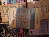 Spuma zilelor vintage